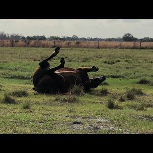 Meet your Posher, Jacqueline